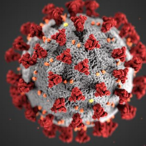 COVID-19 virus picture